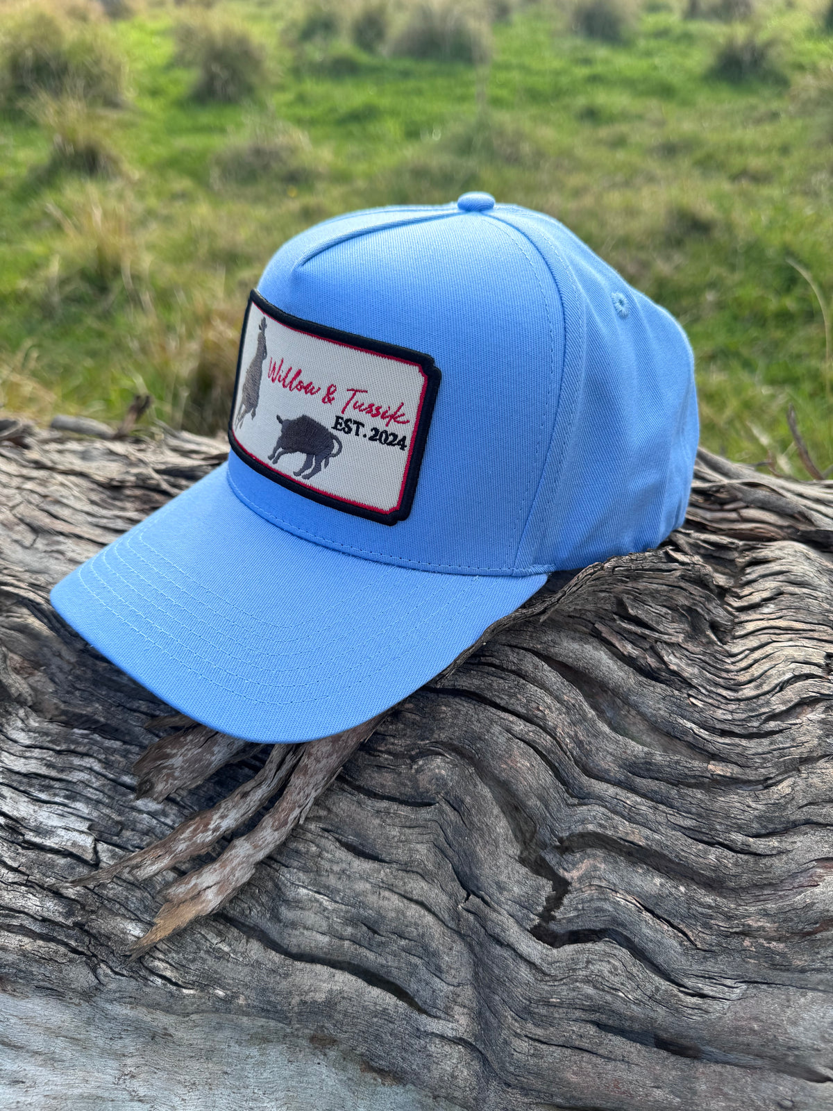 Blue Fabric Trucker Cap