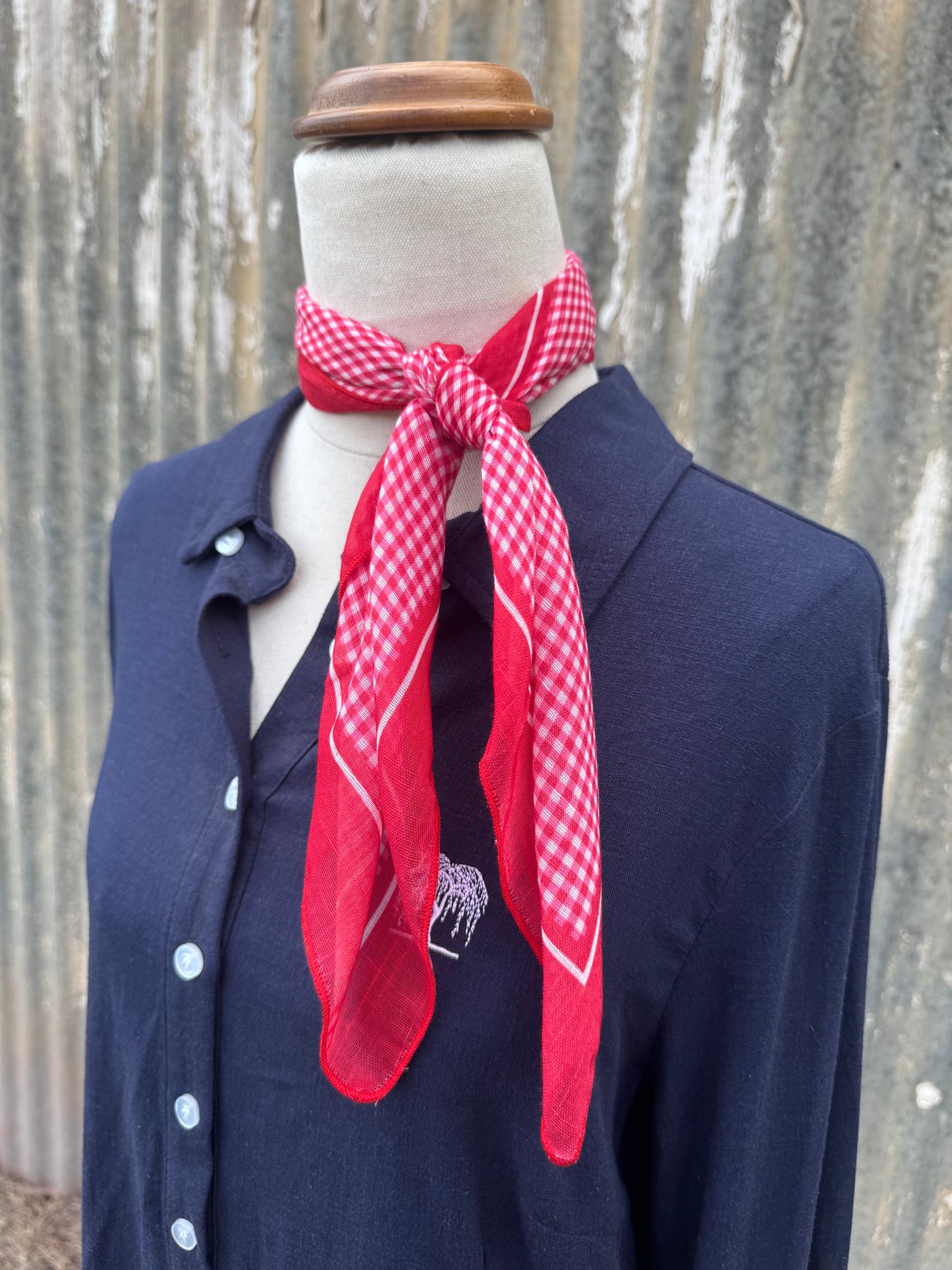 Red Gingham Neck Scarf